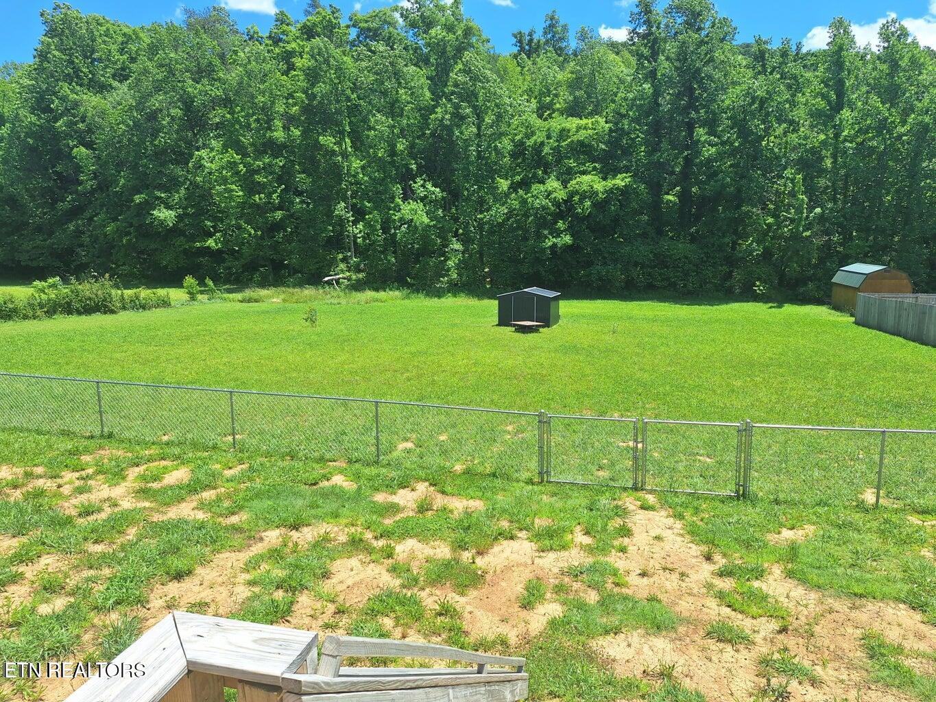 1450 Belltown Road Tellico Plains, TN 37385 - Photo 9 of 32 Backyard 3