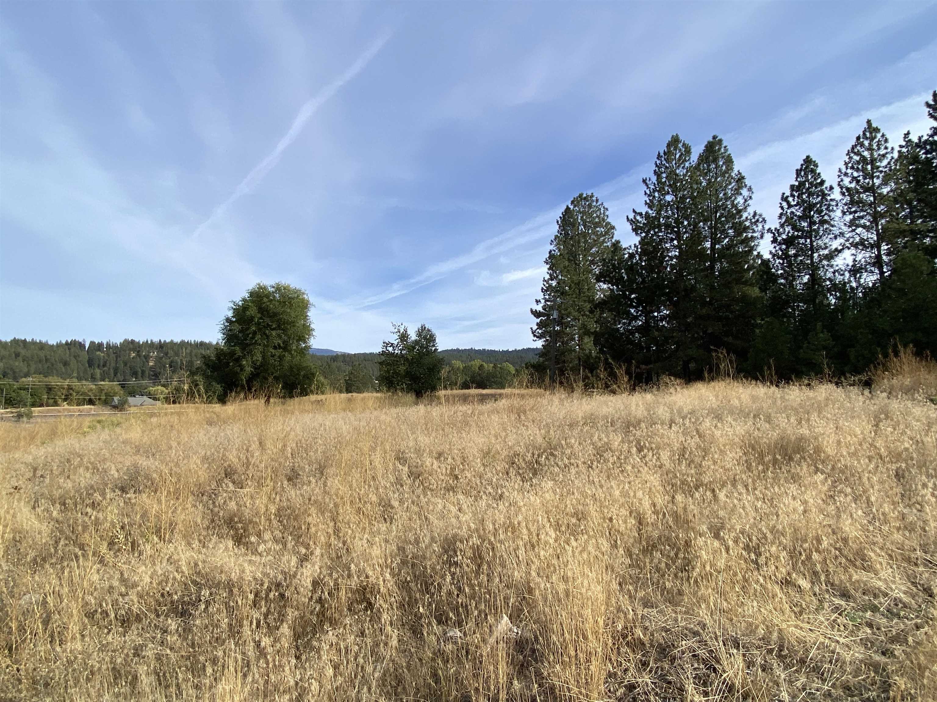 11-xxx East Sands Road Spokane Valley, WA 99206 - Photo 8 of 14