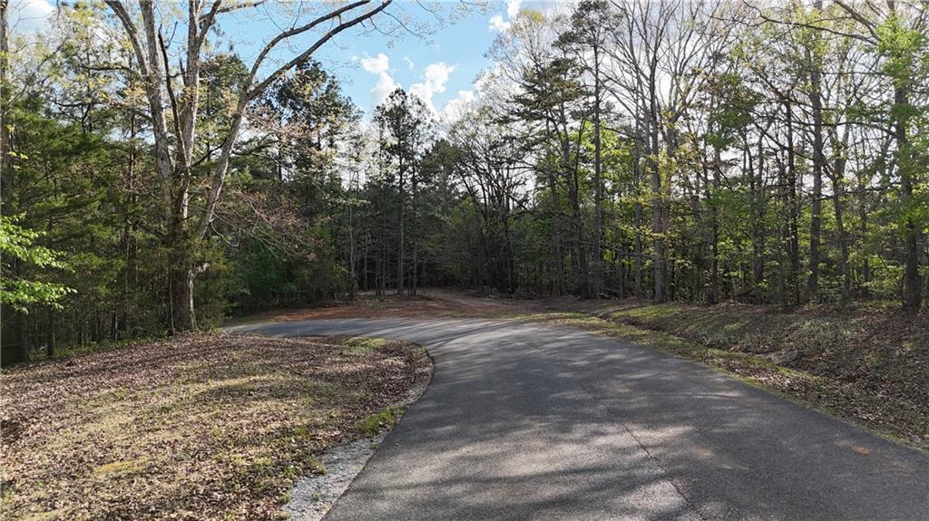 Lot 1 Chalcrest Way Cave Spring, GA 30124 - Photo 16 of 65 a view of a yard with trees