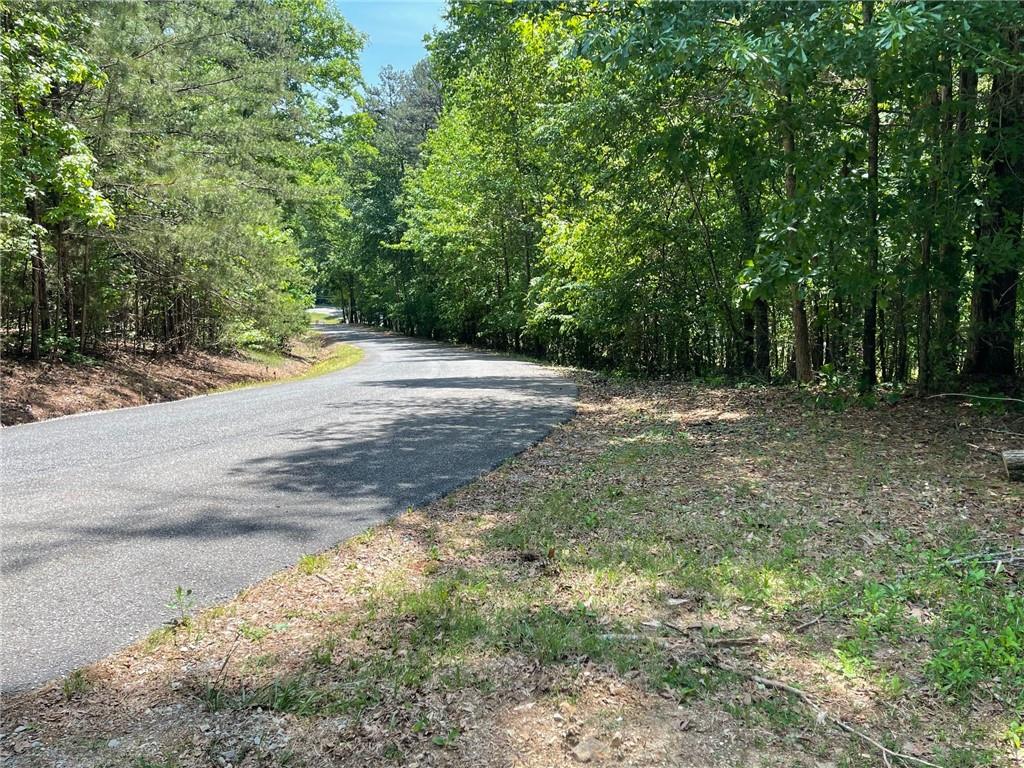 Lot 1 Chalcrest Way Cave Spring, GA 30124 - Photo 17 of 65 a view of outdoor space with trees all around