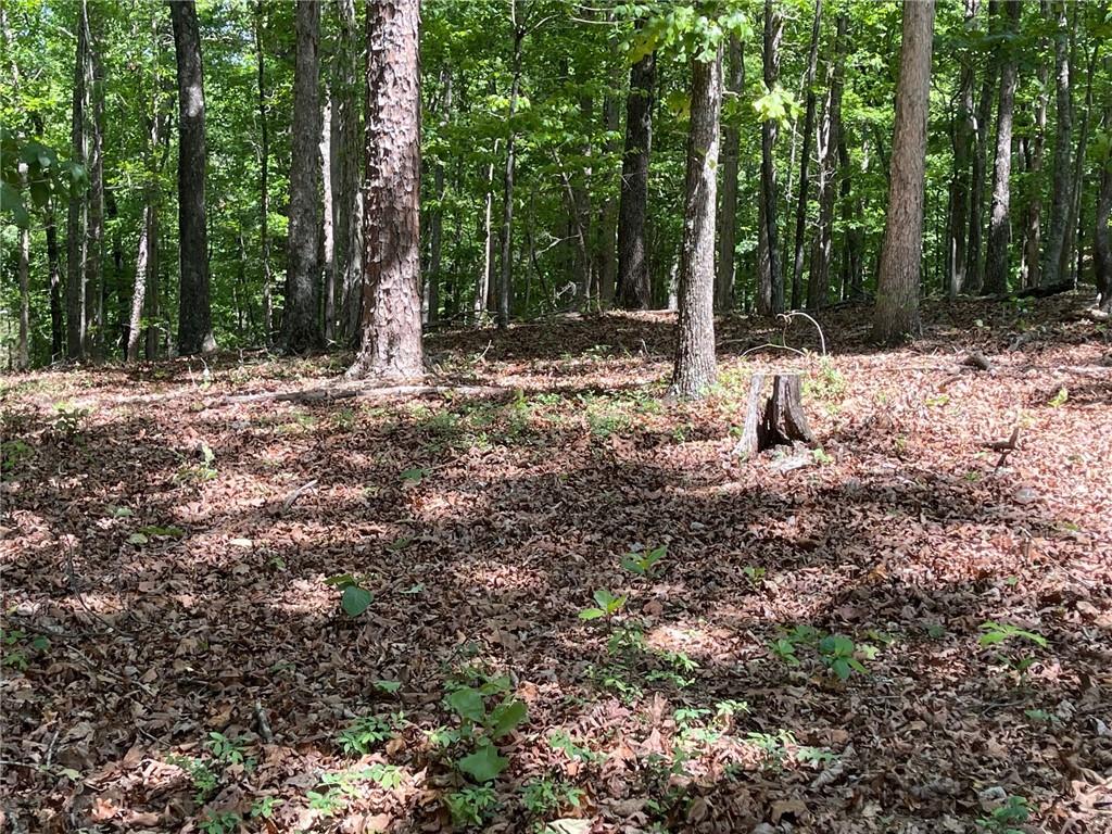 Lot 1 Chalcrest Way Cave Spring, GA 30124 - Photo 21 of 65 a backyard of a house with lots of green space
