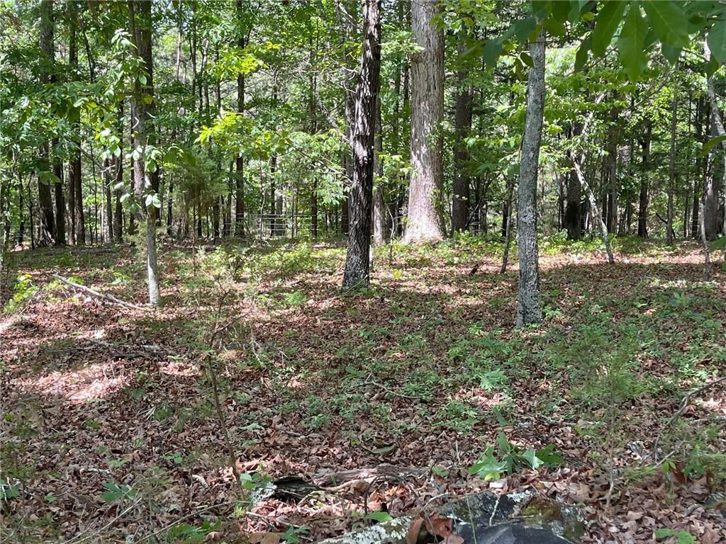 Lot 1 Chalcrest Way Cave Spring, GA 30124 - Photo 22 of 65 a big yard with lots of green space and trees all around