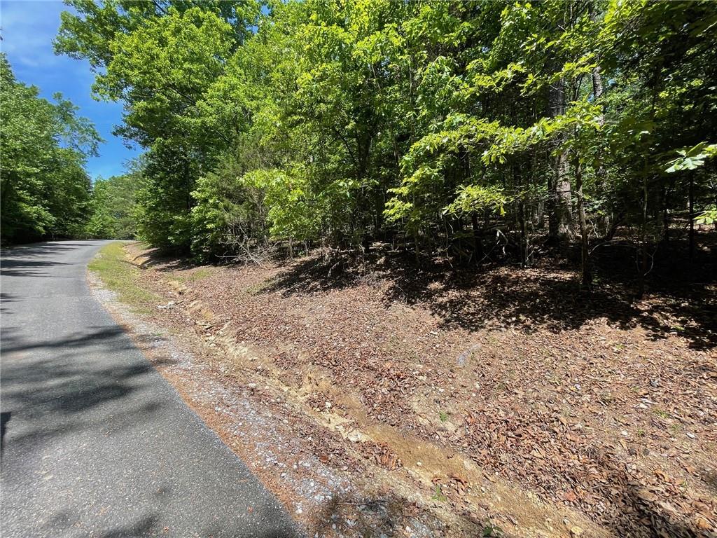 Lot 1 Chalcrest Way Cave Spring, GA 30124 - Photo 27 of 65 a view of a road with trees in the background