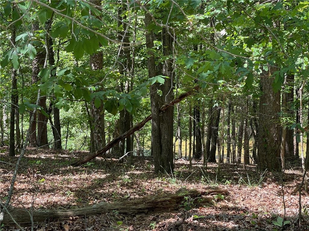 Lot 1 Chalcrest Way Cave Spring, GA 30124 - Photo 6 of 65 a backyard of a house with lots of trees