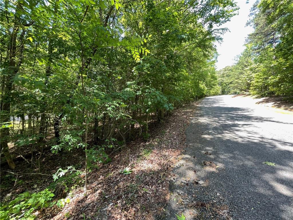 Lot 1 Chalcrest Way Cave Spring, GA 30124 - Photo 7 of 65 a view of a forest with lots of trees
