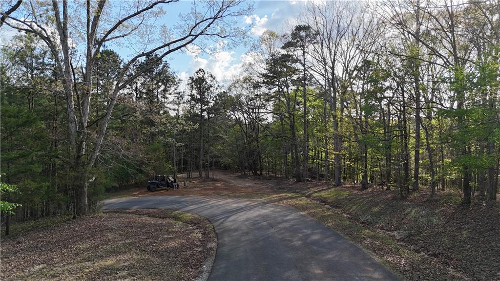 Lot 1 Chalcrest Way Cave Spring, GA 30124 - Photo 8 of 65 a view of outdoor space with trees