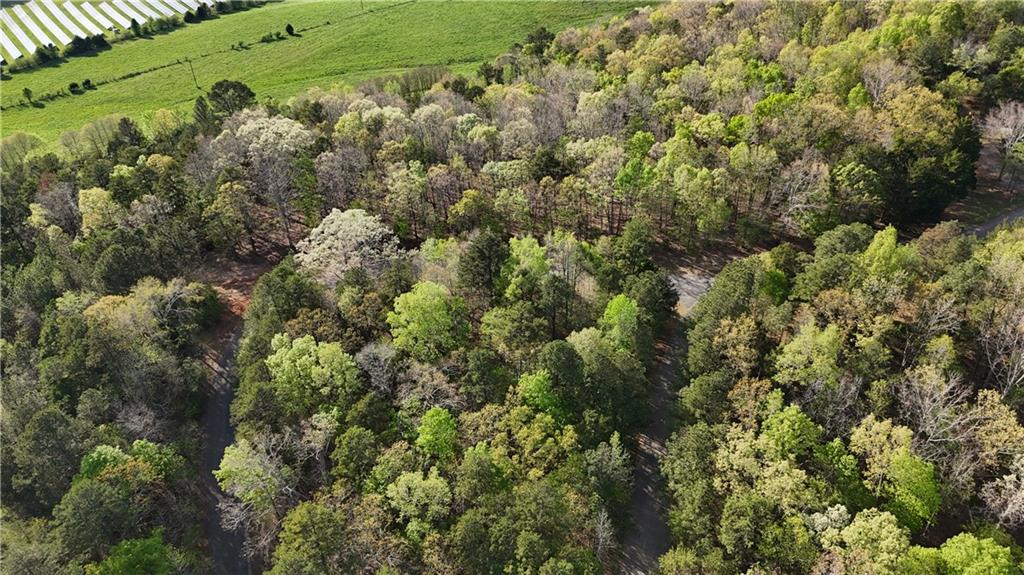Lot 1 Chalcrest Way Cave Spring, GA 30124 - Photo 9 of 65 view of a green field