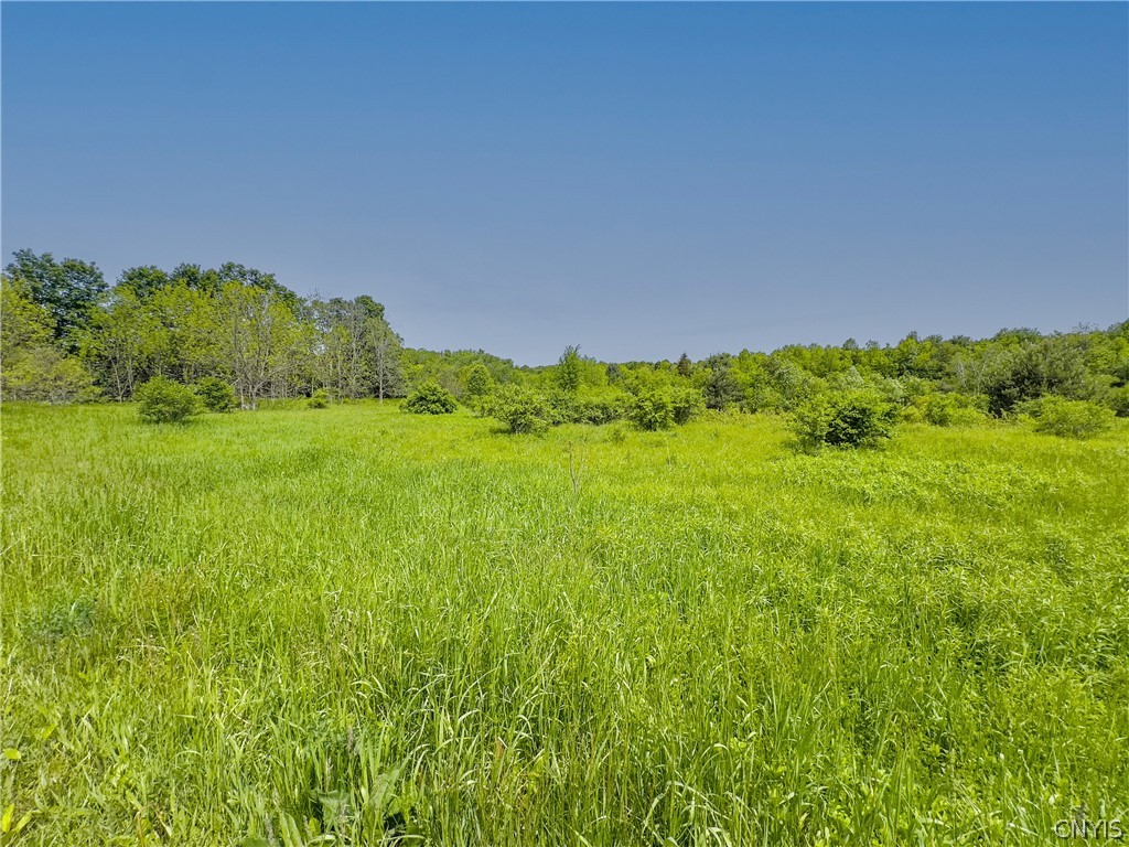 4 County Route Fulton, NY 13069 - Photo 33 of 37