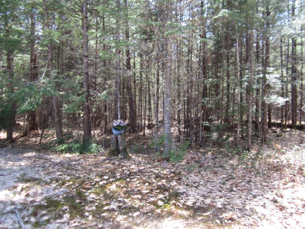 806 Lovell Road Harrison, ME 04040 - Photo 28 of 35 Photo