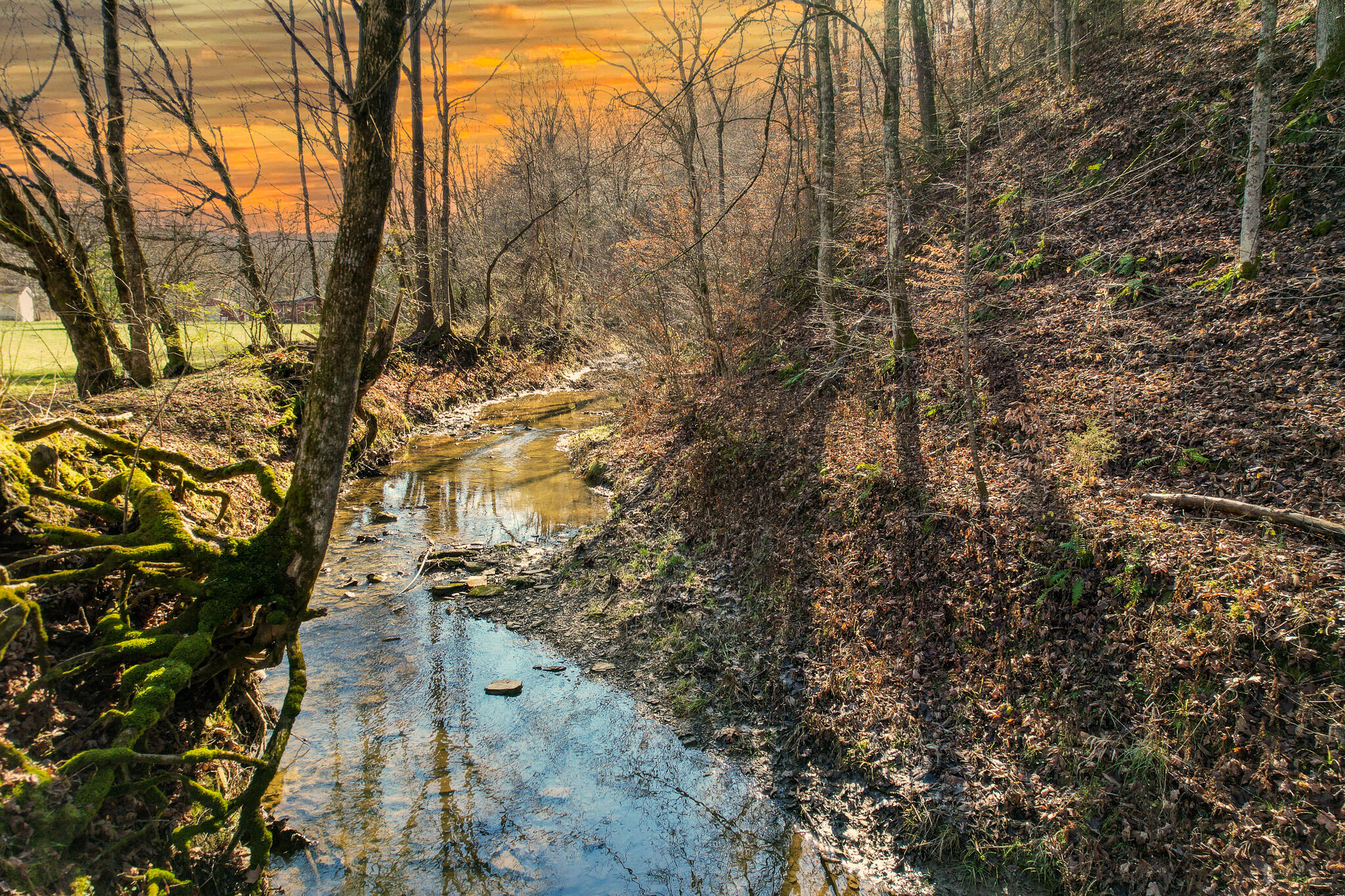 3003 Knob Creek Road Bybee, TN 37713 - Photo 2 of 26 DJI_0074-Edit
