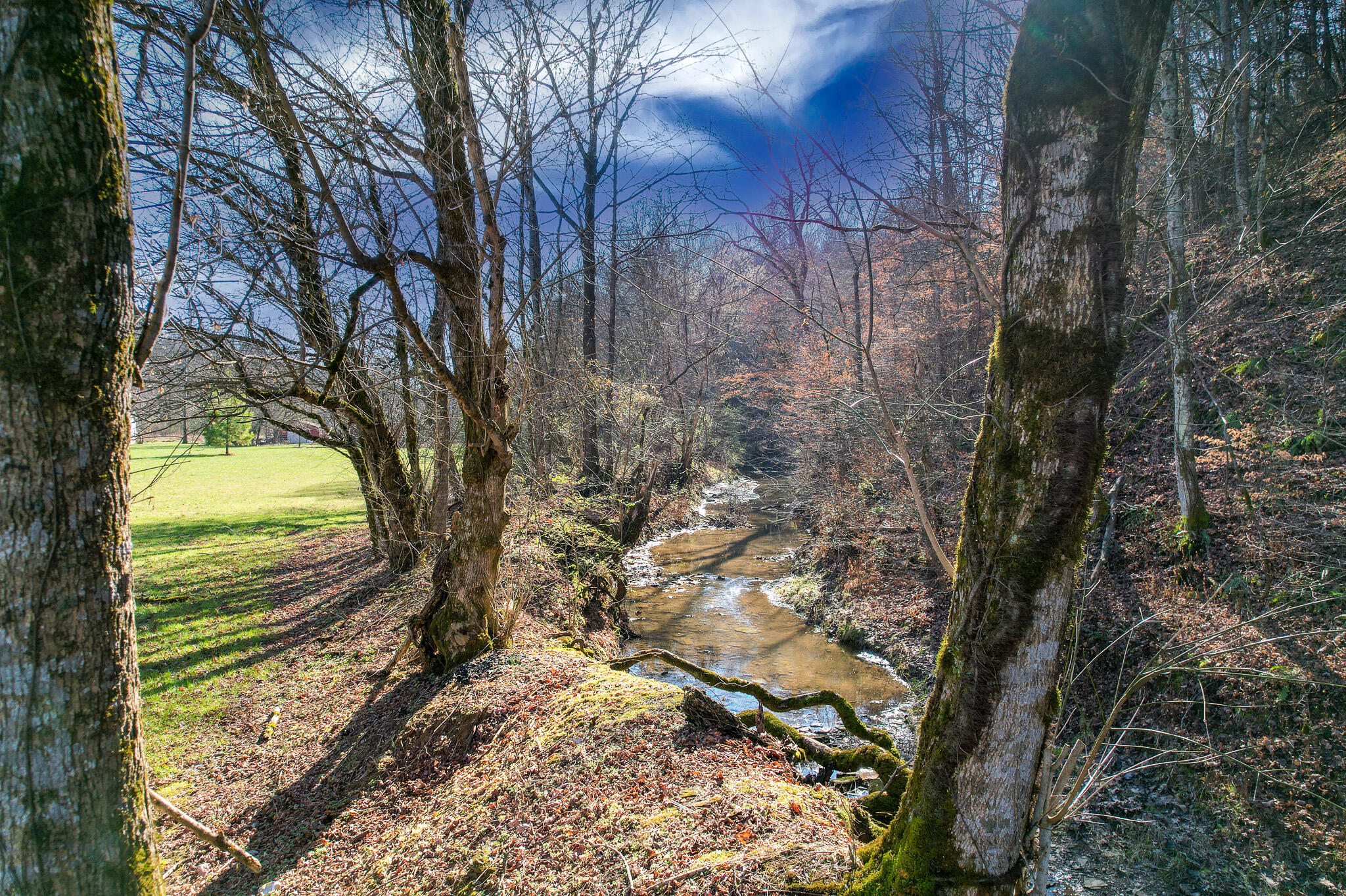 3003 Knob Creek Road Bybee, TN 37713 - Photo 26 of 26 DJI_0081-Edit