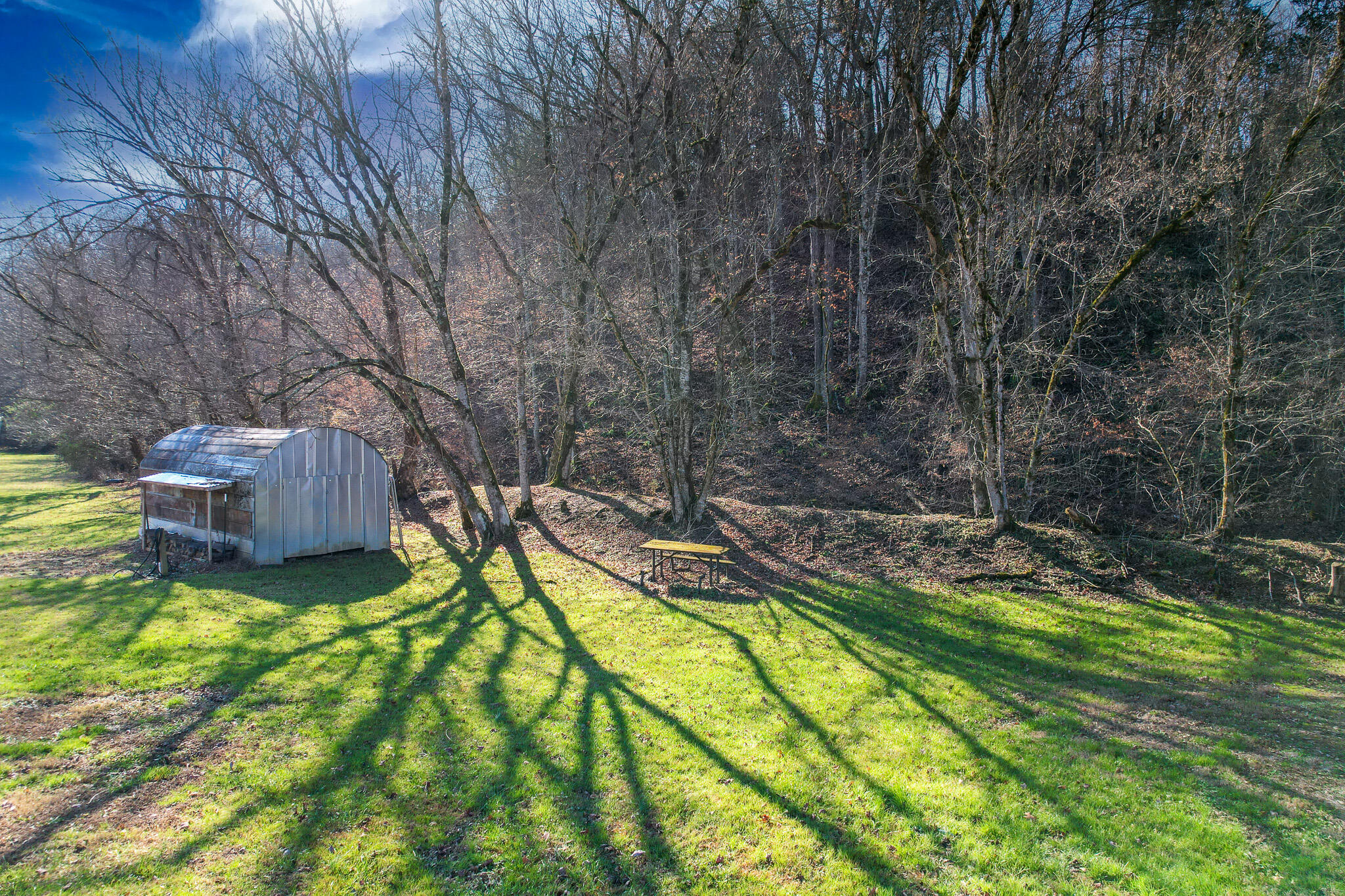 3003 Knob Creek Road Bybee, TN 37713 - Photo 4 of 26 DJI_0070-Edit