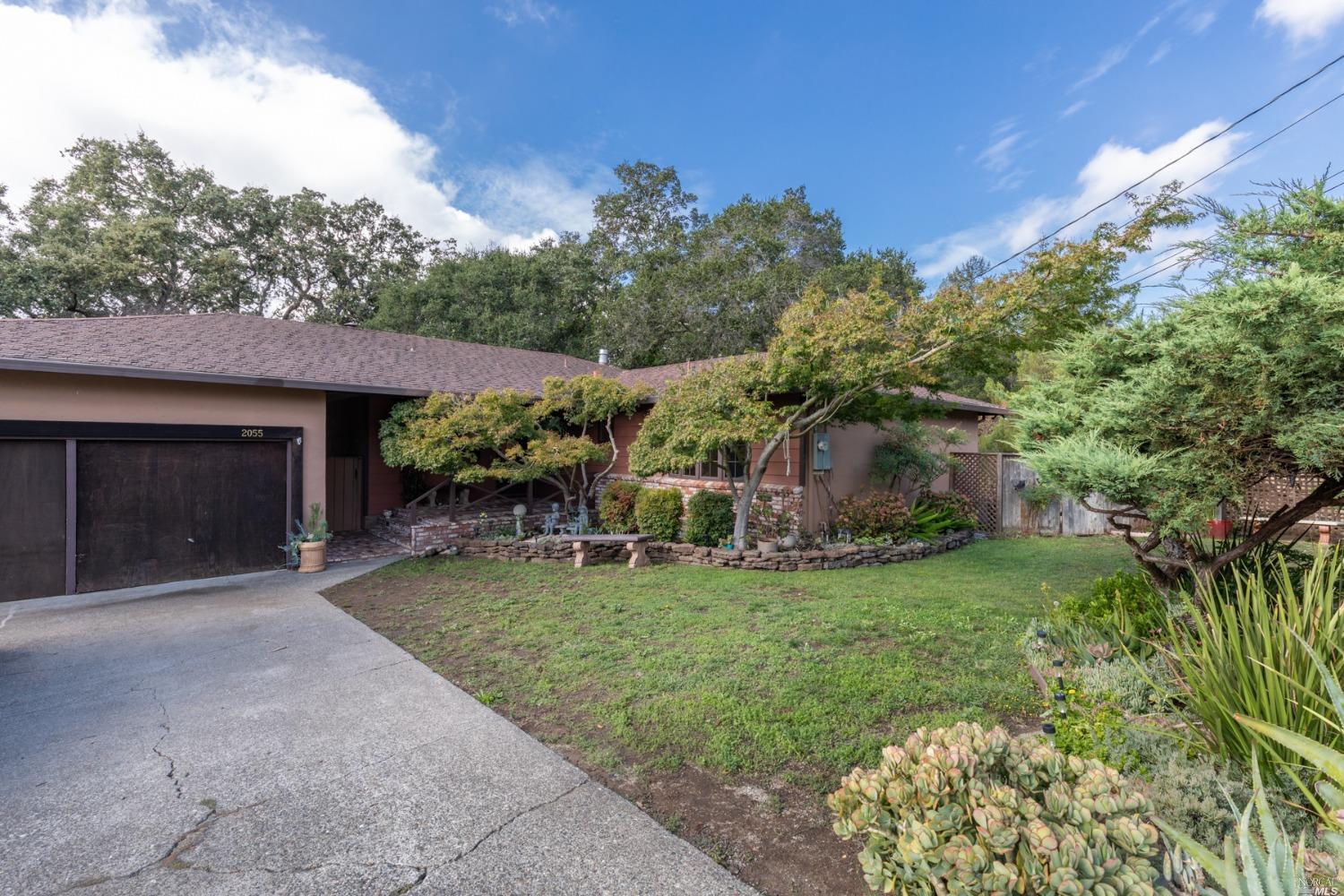 a view of a house with a yard potted plants and a large tree