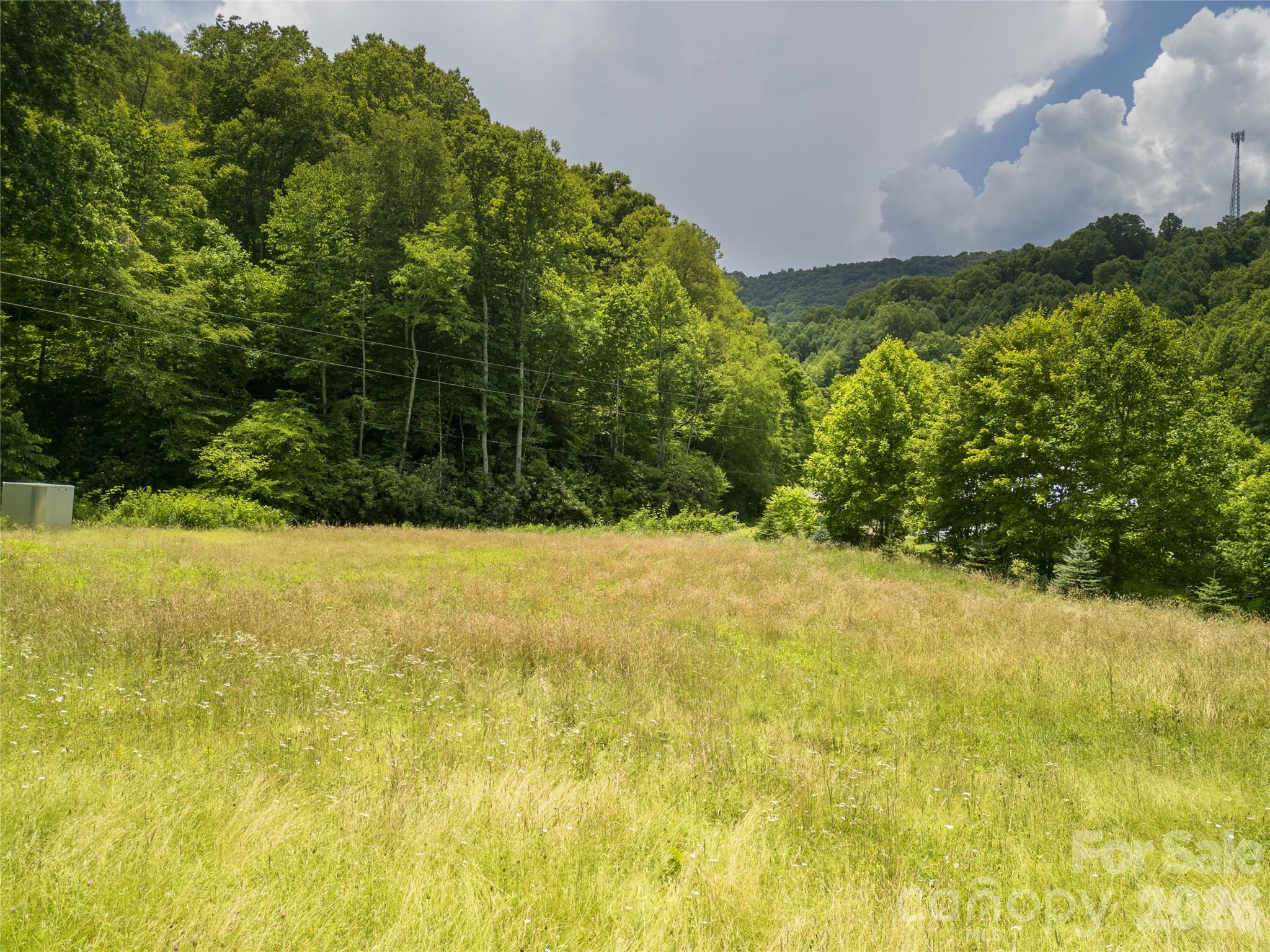 168 Smith Creek Road Mars Hill, NC 28754 - Photo 1 of 46