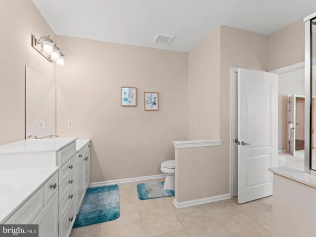 a bathroom with a double vanity sink mirror and toilet