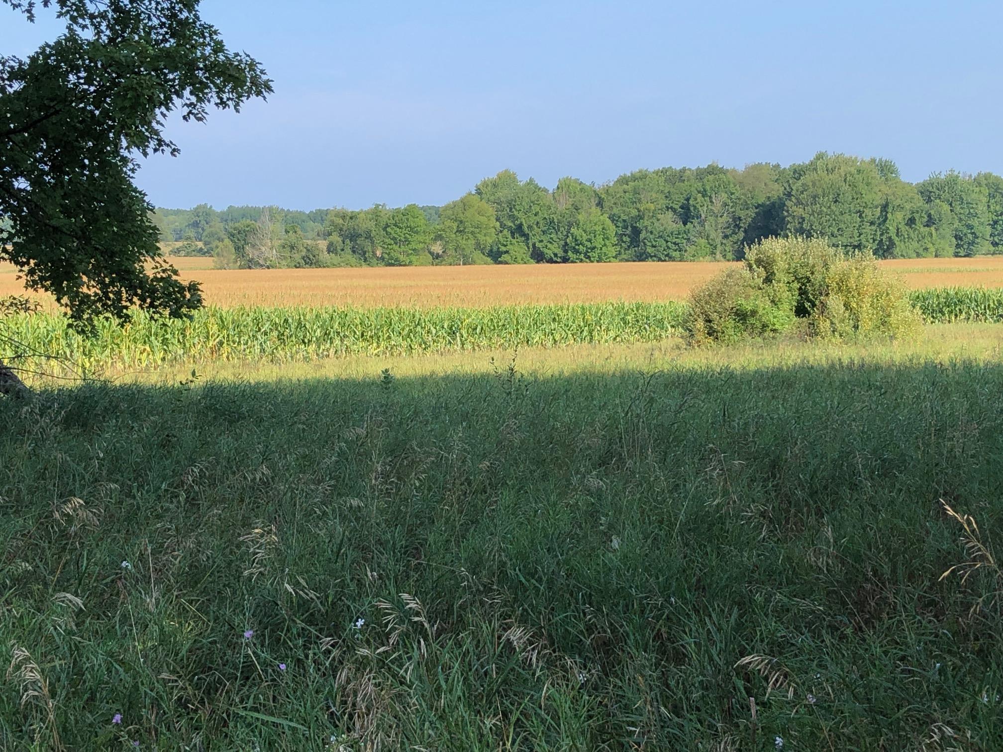 7664 West Amber Road Mears, MI 49436 - Photo 23 of 35 IMG_2309