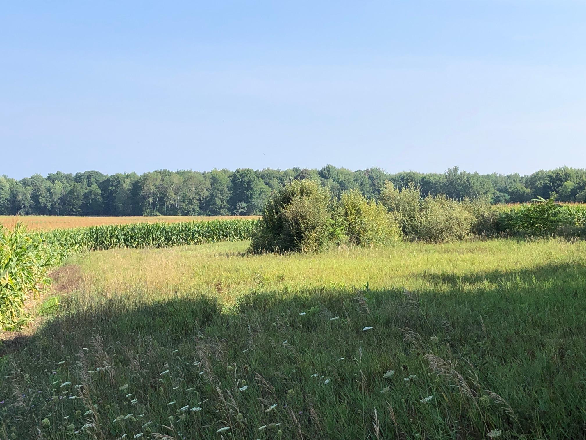 7664 West Amber Road Mears, MI 49436 - Photo 24 of 35 IMG_2311