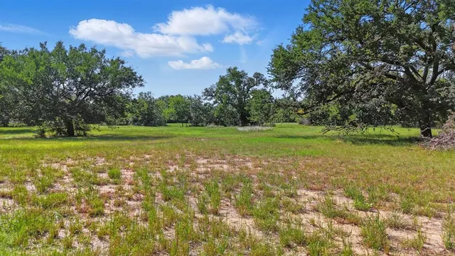 a view of a field with an trees in the background