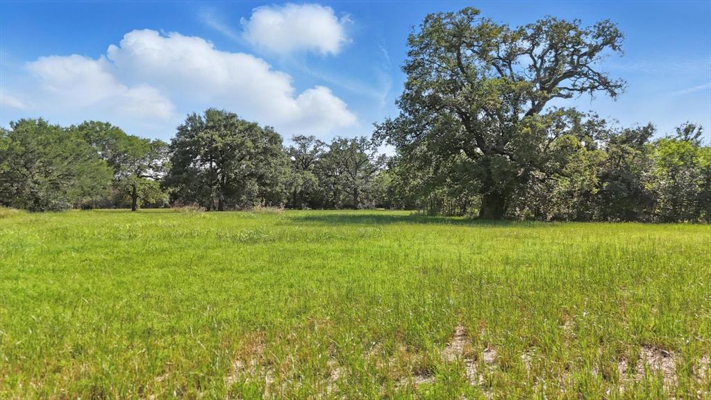 Tbd4 West Shady Shores Road Shady Shores, TX 76208 - Photo 2 of 6 a view of yard with green space