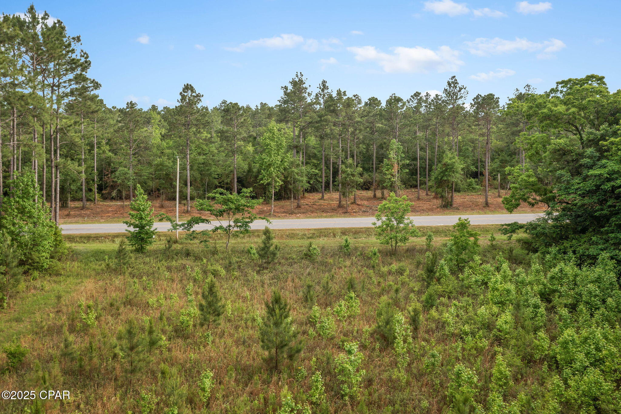 Xxx Clayton Road, Unit 5 ACRES Chipley, FL 32428 - Photo 18 of 18
