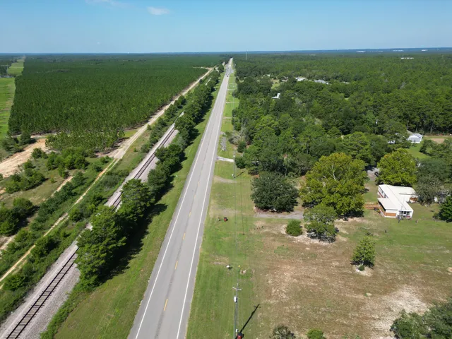 a view of a yard with plants