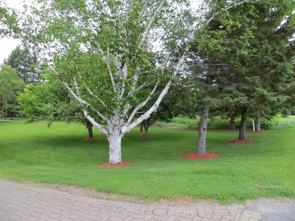 183 Lake Shore Road Madawaska, ME 04773 - Photo 32 of 32 Photo