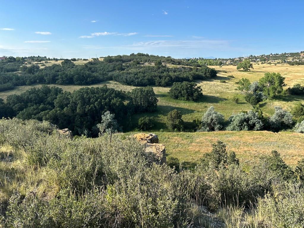 5 Lago Vista Boulevard Rye, CO 81069 - Photo 8 of 35
