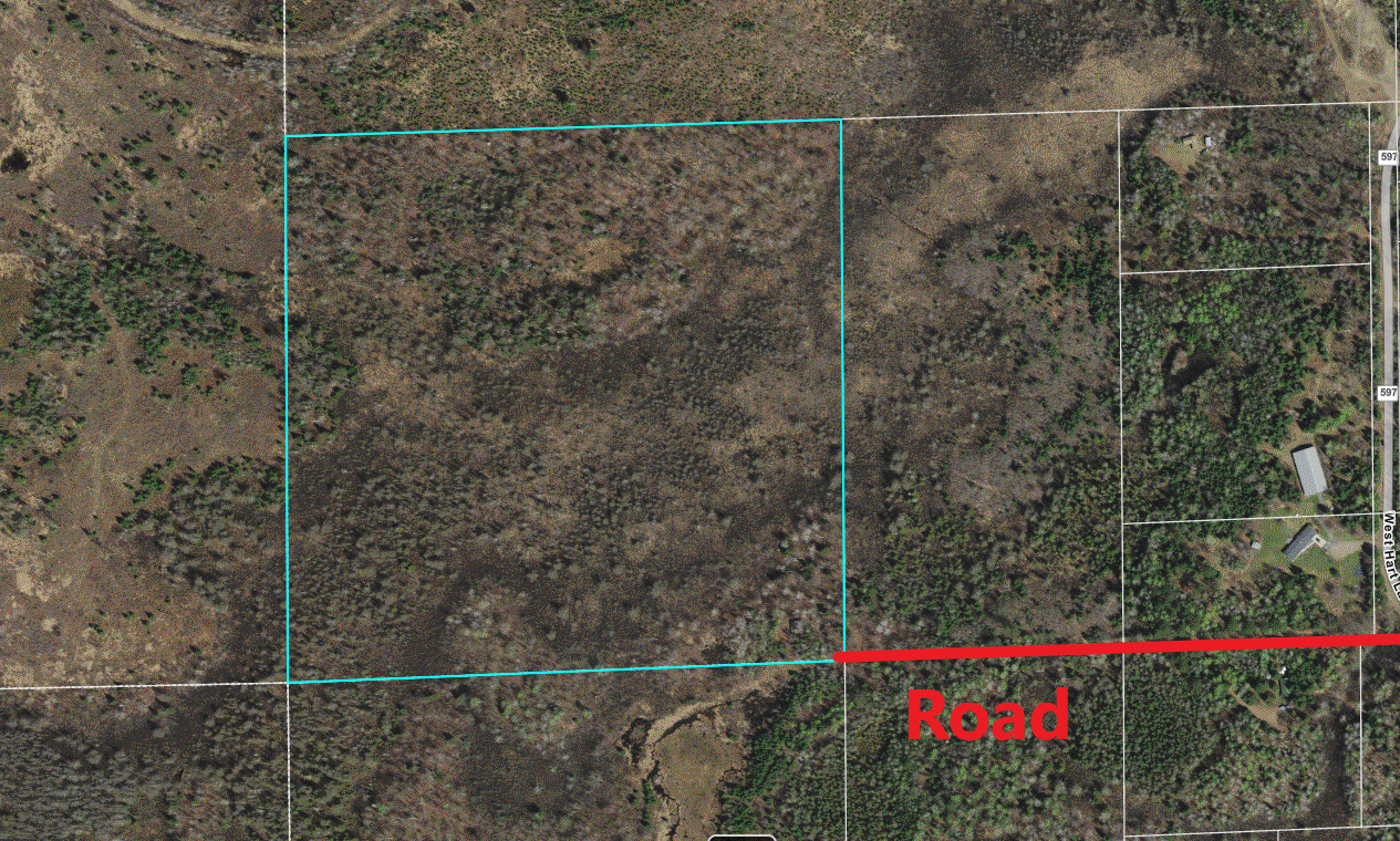 Tbd West Hart Lake Road Pengilly, MN 55775 - Photo 1 of 1 Gallery Image 1