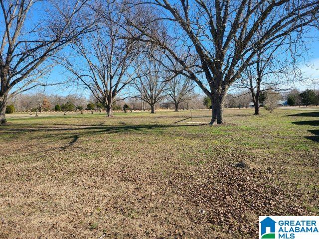 712 Mockingbird Lane Pike Road, AL 36064 - Photo 25 of 25