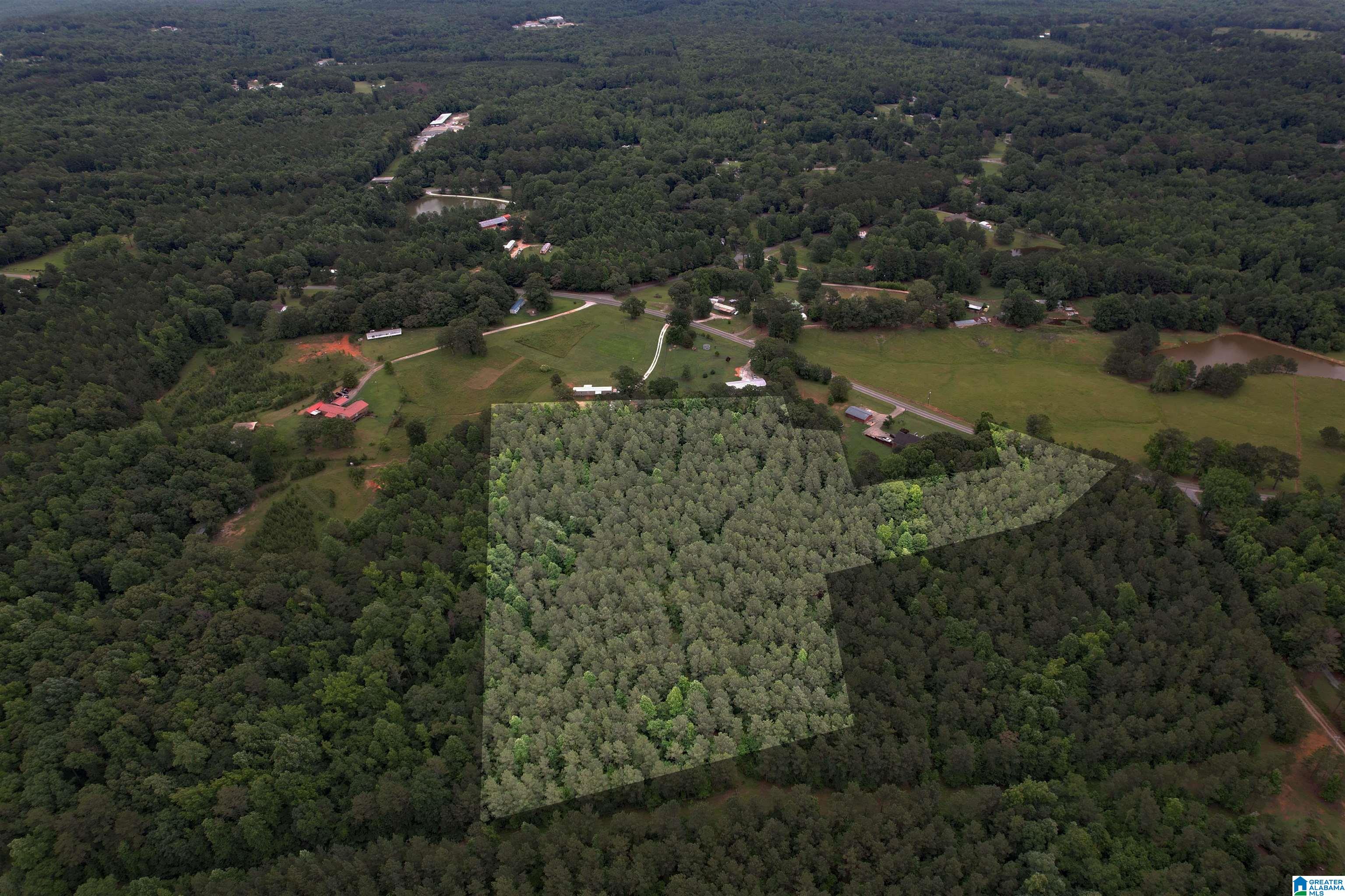 0 Houston Road Sylacauga, AL 35151 - Photo 24 of 32
