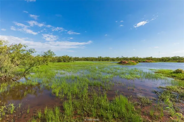 a view of a lake with a yard