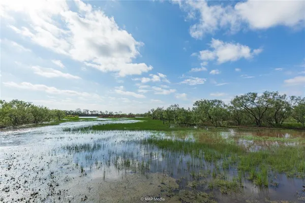 a view of a lake with a yard