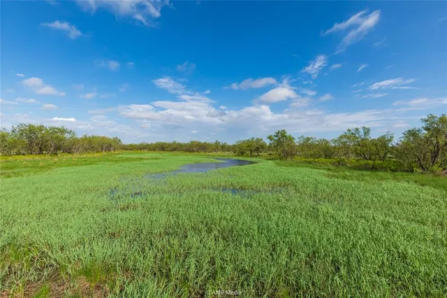 a view of a big yard with large trees