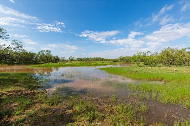 a view of lake with green space