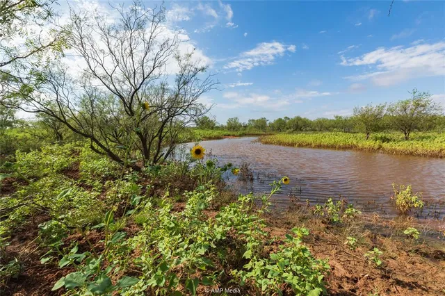 a view of a lake with houses in the back