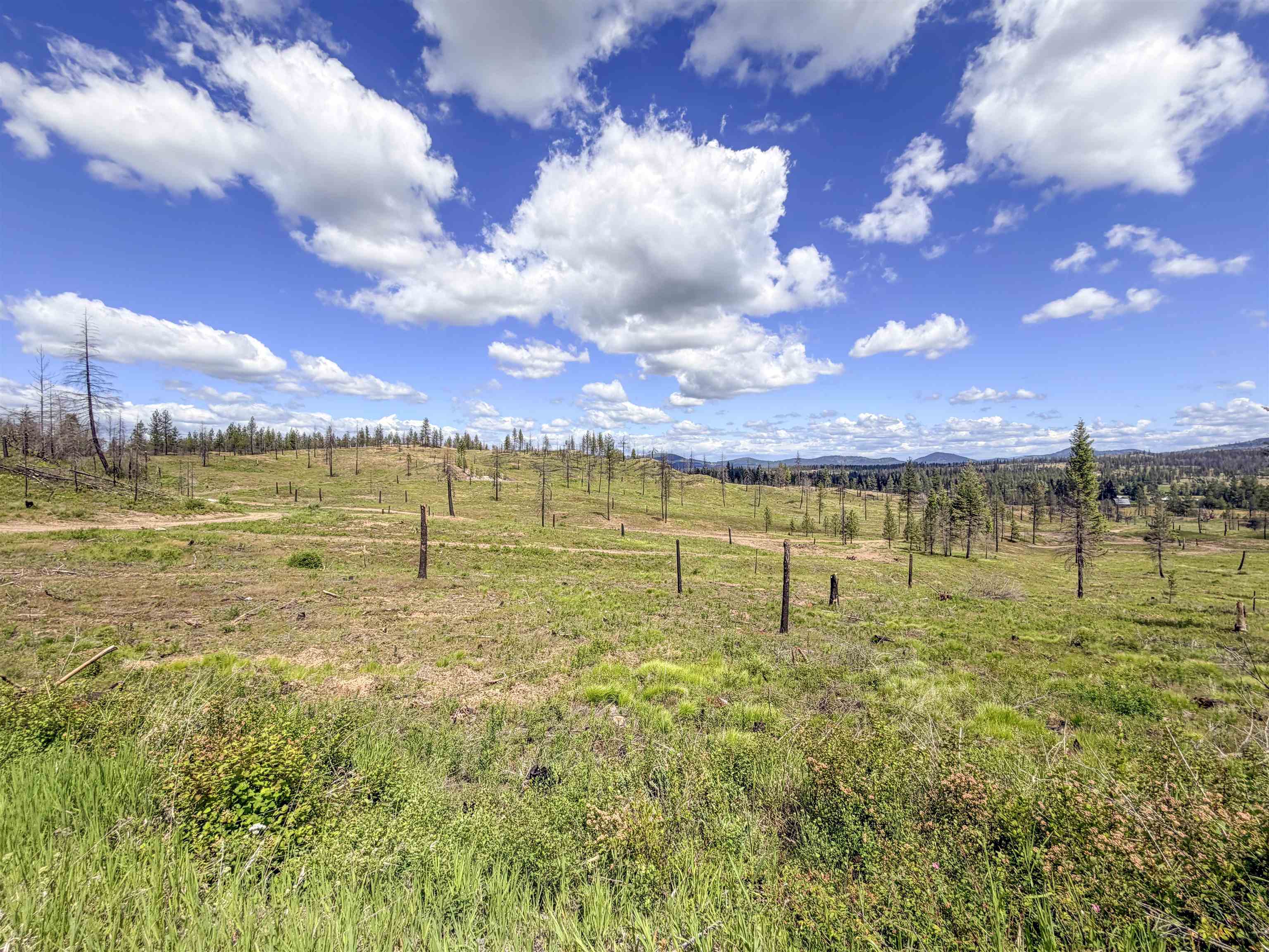 357-xx North Conklin Road Elk, WA 99009 - Photo 28 of 40 Gallery Image 28