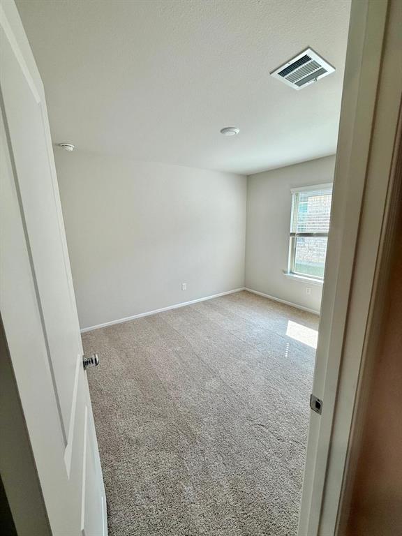 14123 Maida Drive Pilot Point, TX 76258 - Photo 6 of 12 an empty room with windows