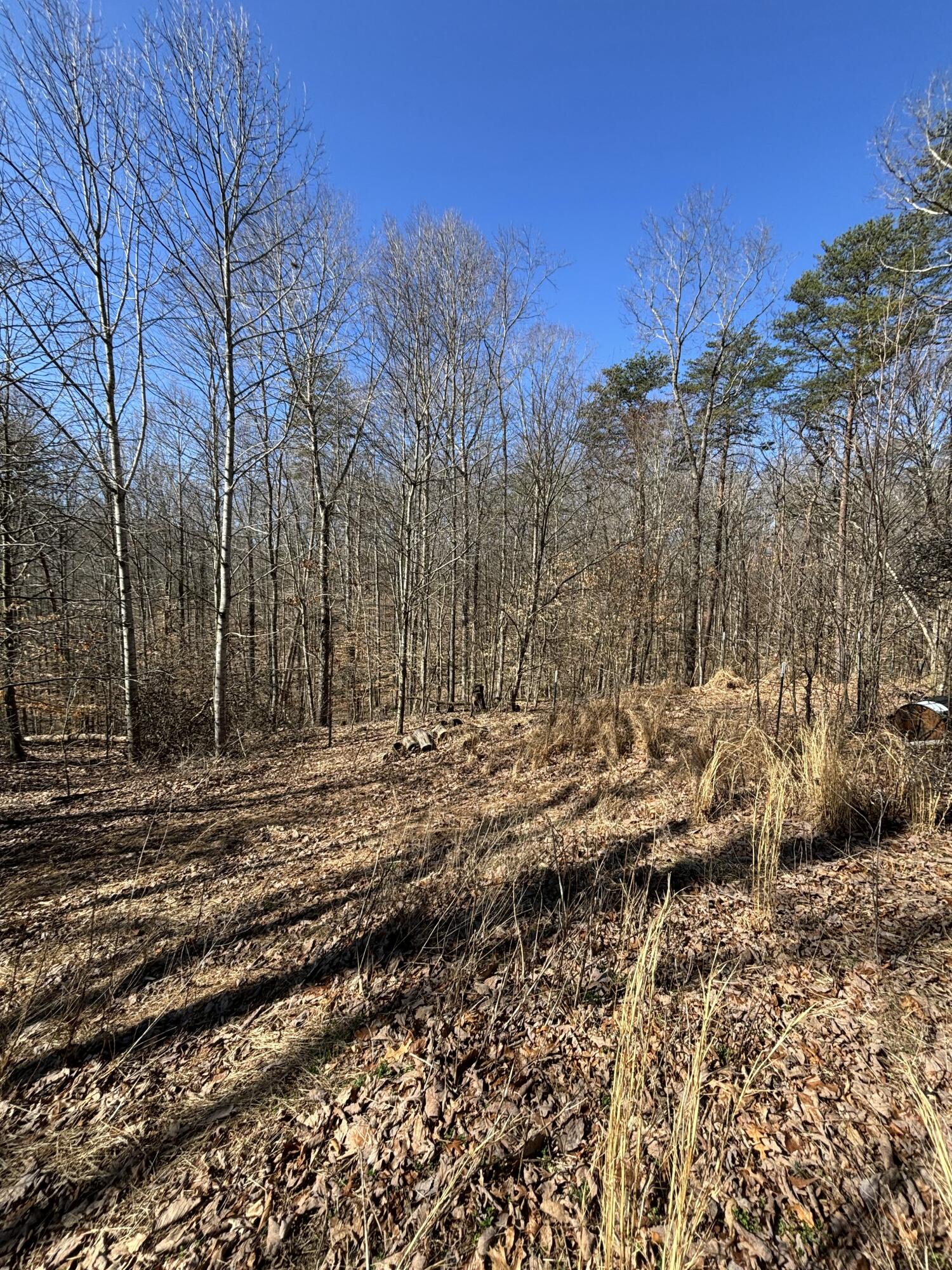 580 Nelson Branch Road Clay City, KY 40312 - Photo 4 of 38 tempImageIaCBop