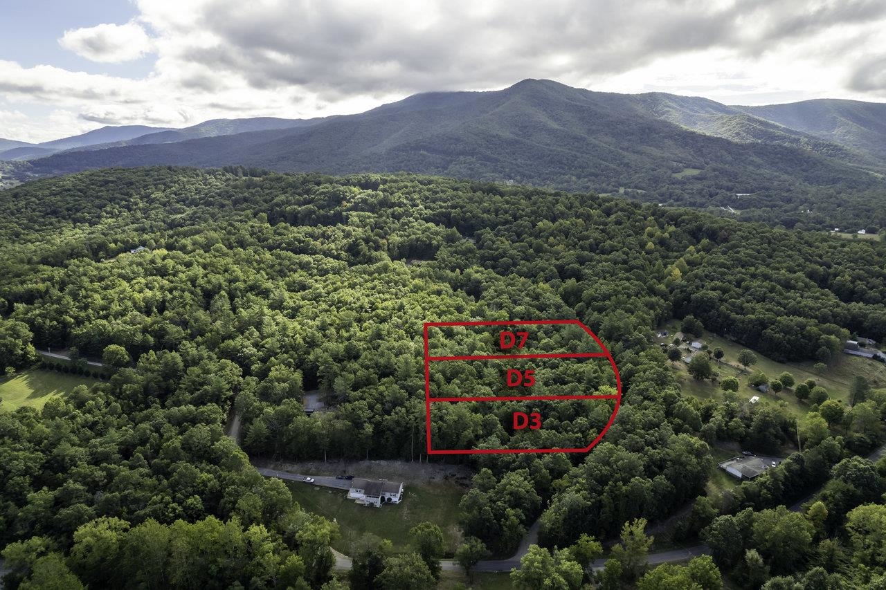 Lot D3 Holiday Hill Road Luray, VA 22835 - Photo 18 of 32
