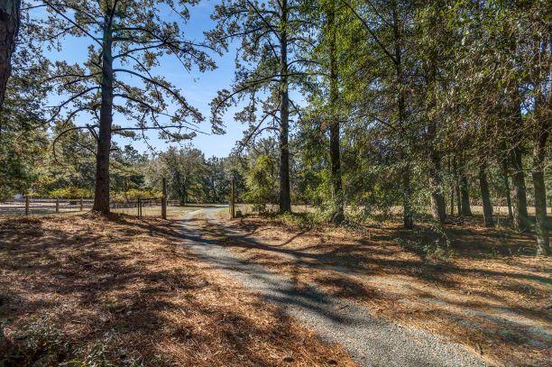 1676 Sandridge Road Dorchester, SC 29437 - Photo 41 of 57 Secluded