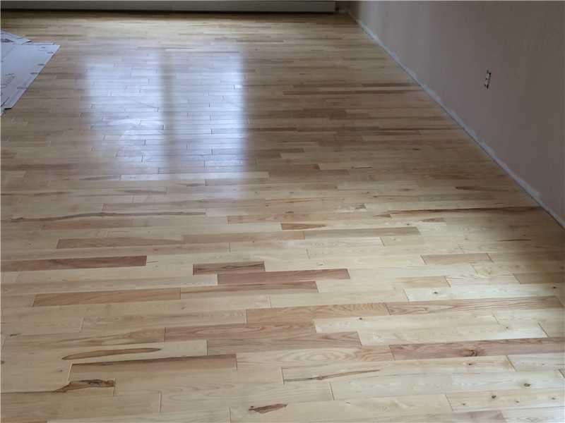 Tbd Hollis Road Hollis Center, ME 04043 - Photo 5 of 13 Living Room. Hardwood flooring in...