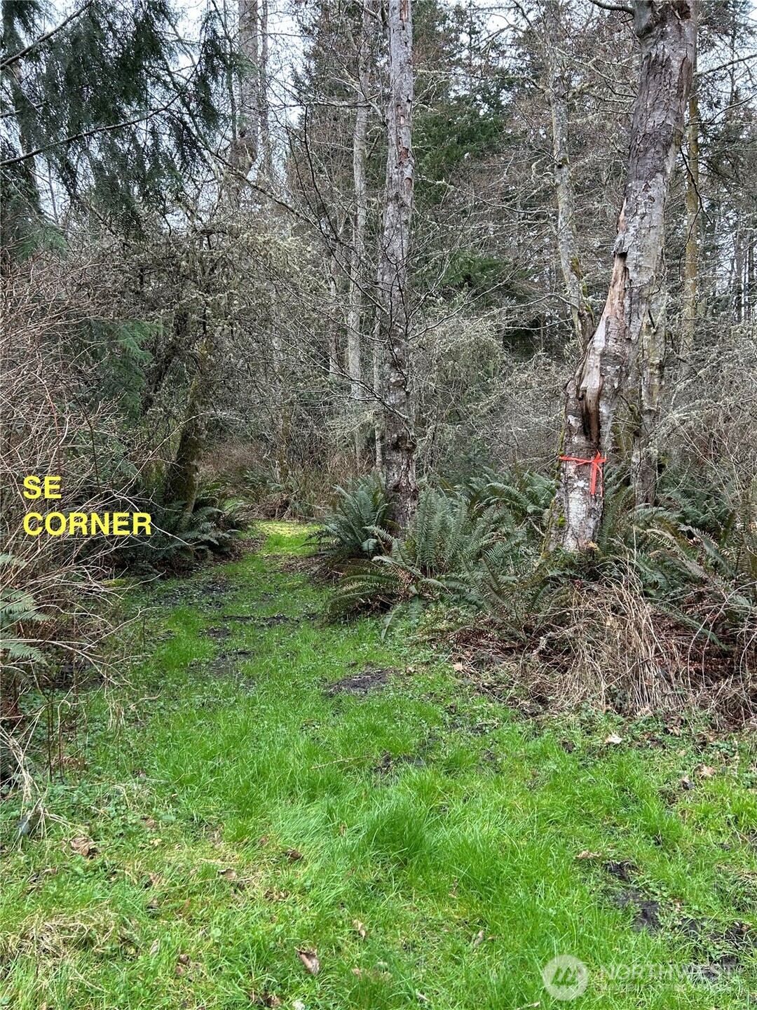 0 933600901st Port Port Townsend, WA 98368 - Photo 4 of 9