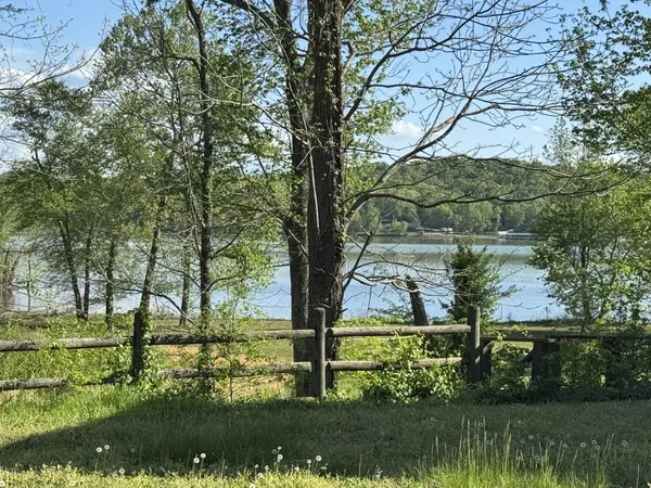 a view of a yard with a tree