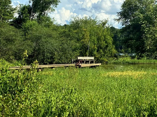 a view of a yard in front of the house
