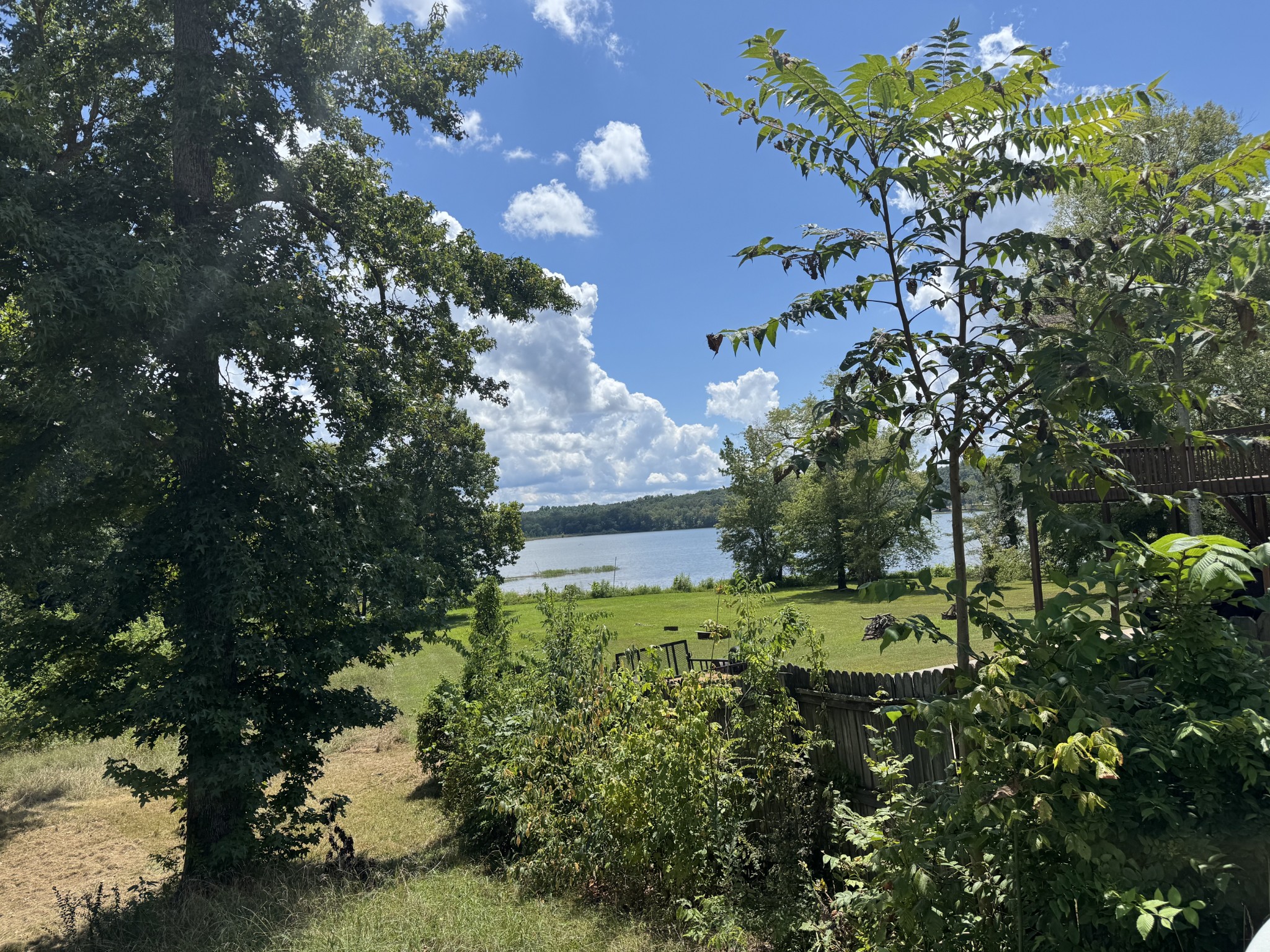 11175 Highway 147 Stewart, TN 37175 - Photo 26 of 29 a view of a yard with a tree