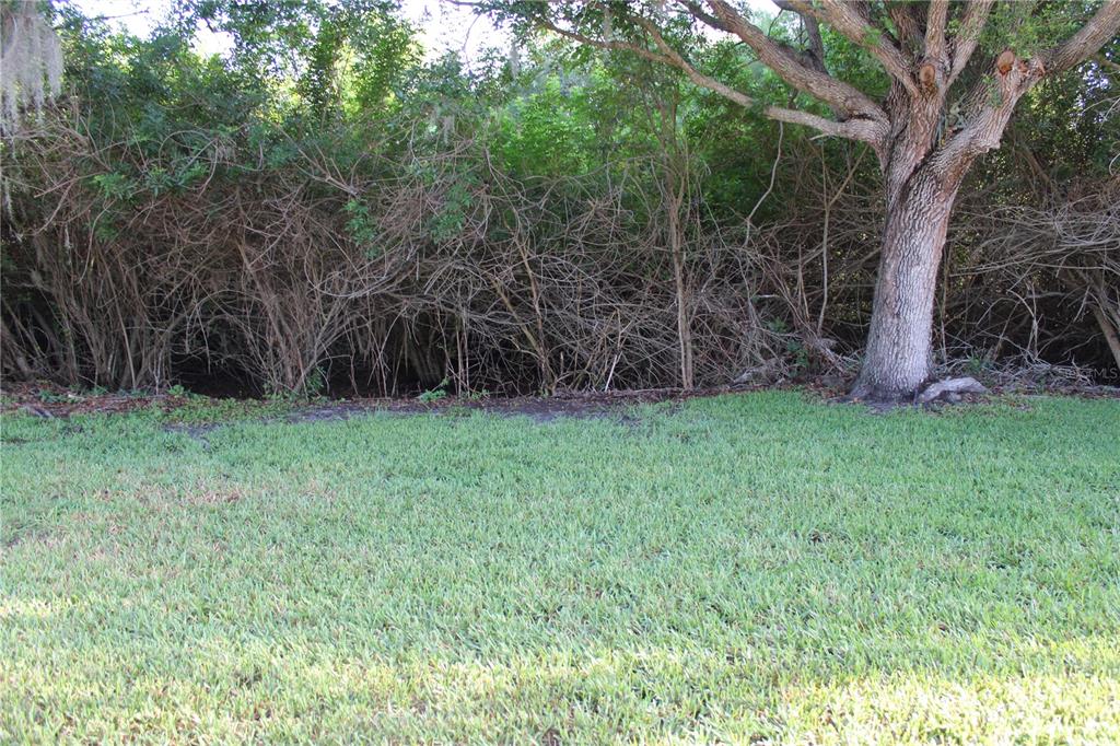 3931 Day Bridge Place Ellenton, FL 34222 - Photo 33 of 48