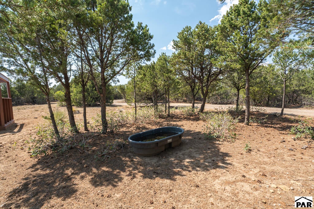 2308 Silver Spur Road Walsenburg, CO 81089 - Photo 37 of 75 Gallery Image 37