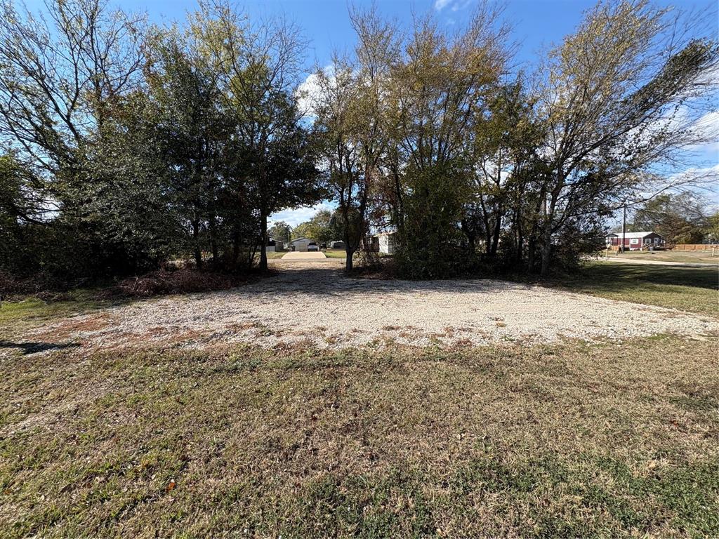 164 Geronimo Quitman, TX 75783 - Photo 1 of 18 a view of a yard with a tree