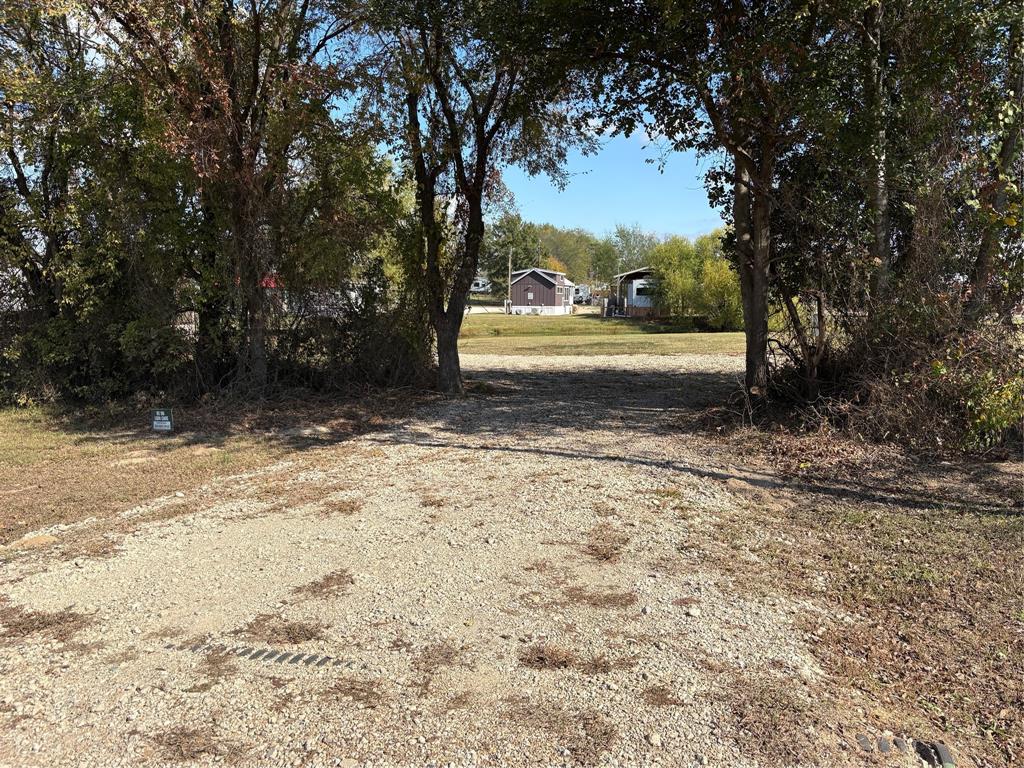 164 Geronimo Quitman, TX 75783 - Photo 6 of 18 a view of yard with tree s