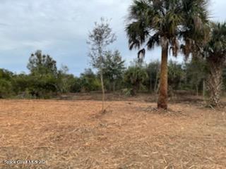 320 Deer Run Road Palm Bay, FL 32909 - Photo 4 of 15 IMG_0130